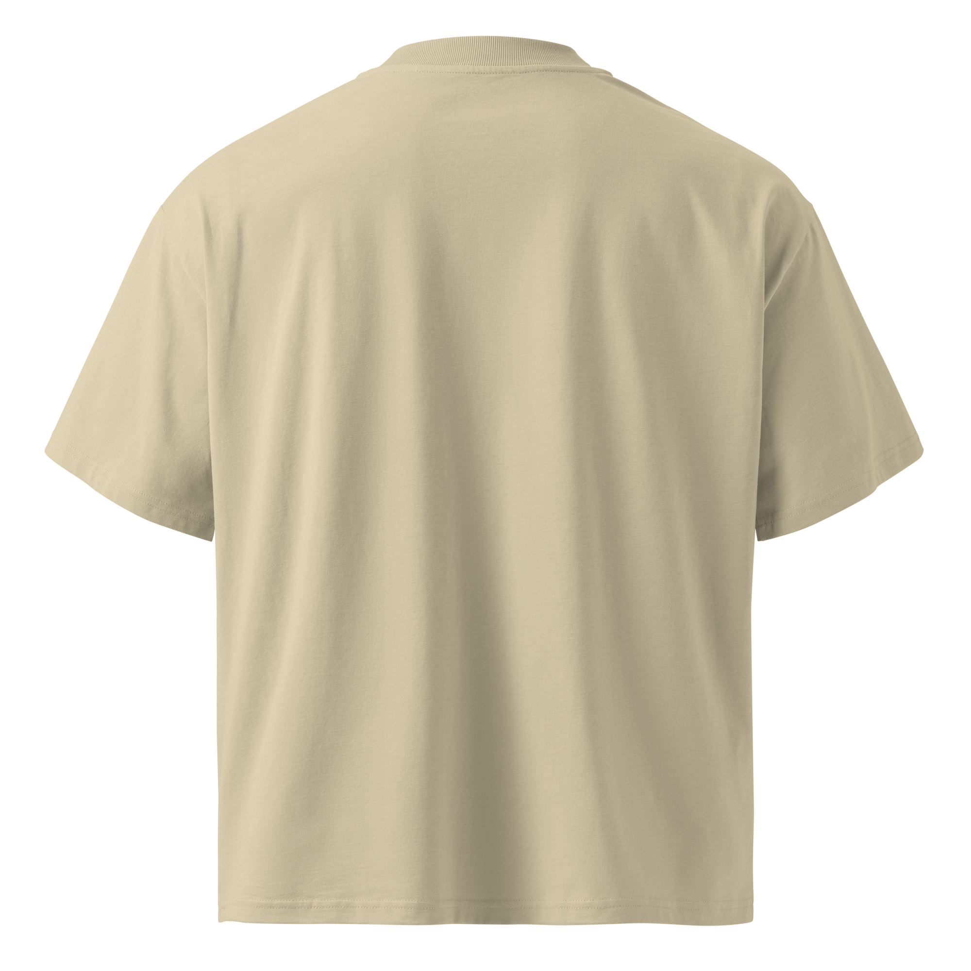 Lewd, Not Rude Tshirt