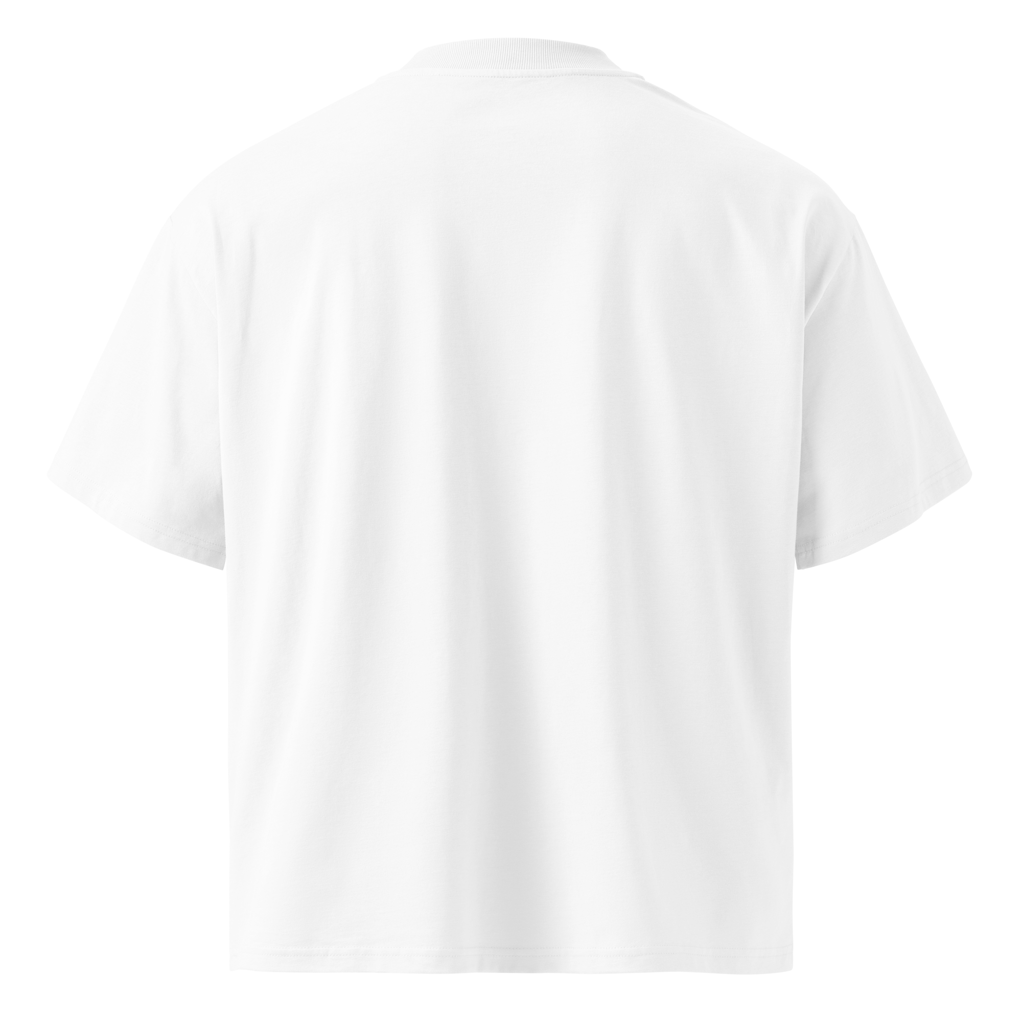 Lewd, Not Rude Tshirt